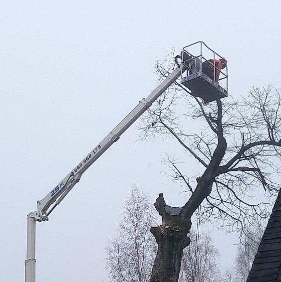 Kácení stromu pomocí vysokozdvižné plošiny - Olomouc