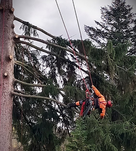 Rizikové kácení stromů bezpečně a precizně